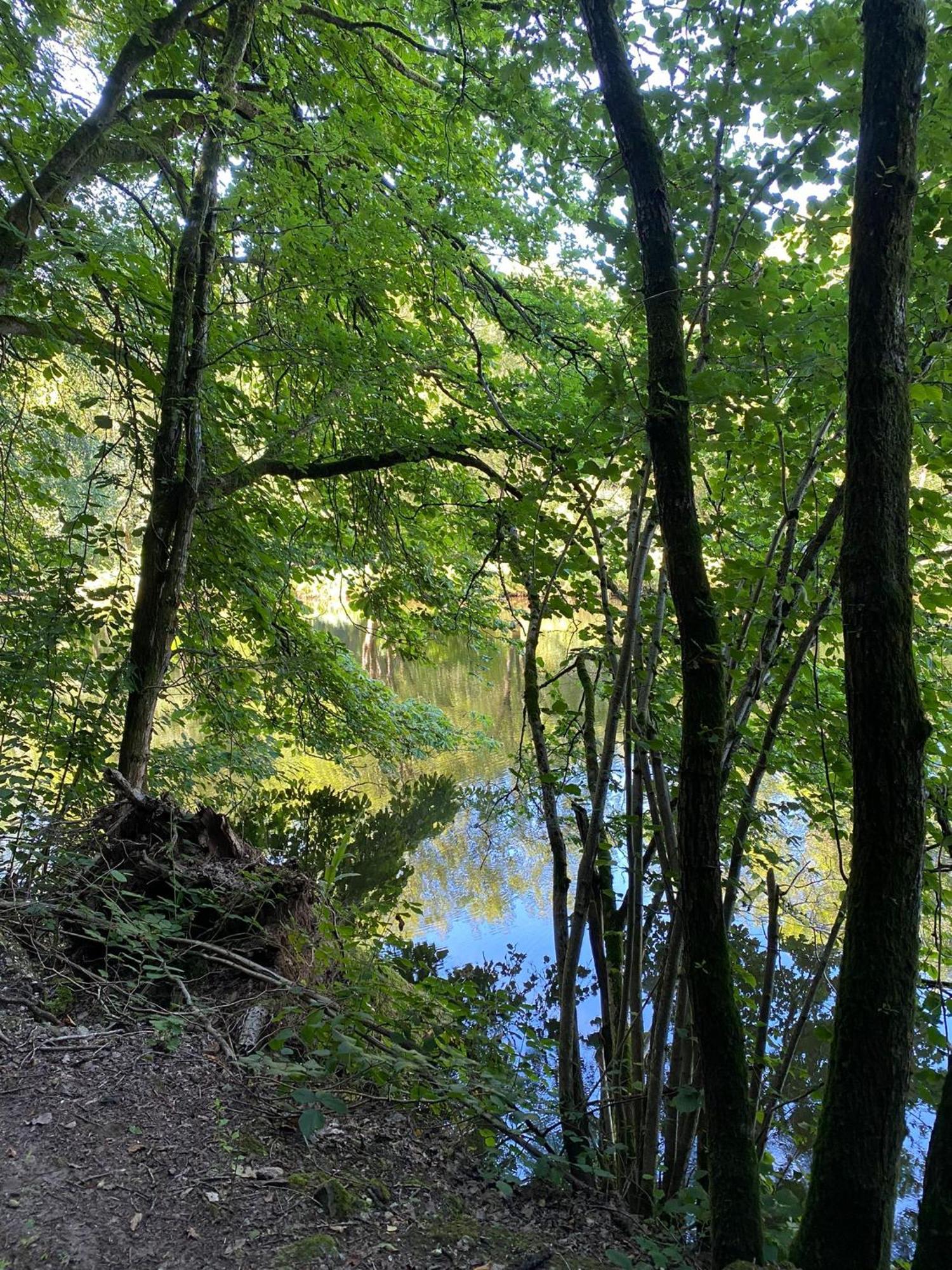 Ferienhaus Vulkaneifel Abtei Himmerod Grosslittgen Экстерьер фото