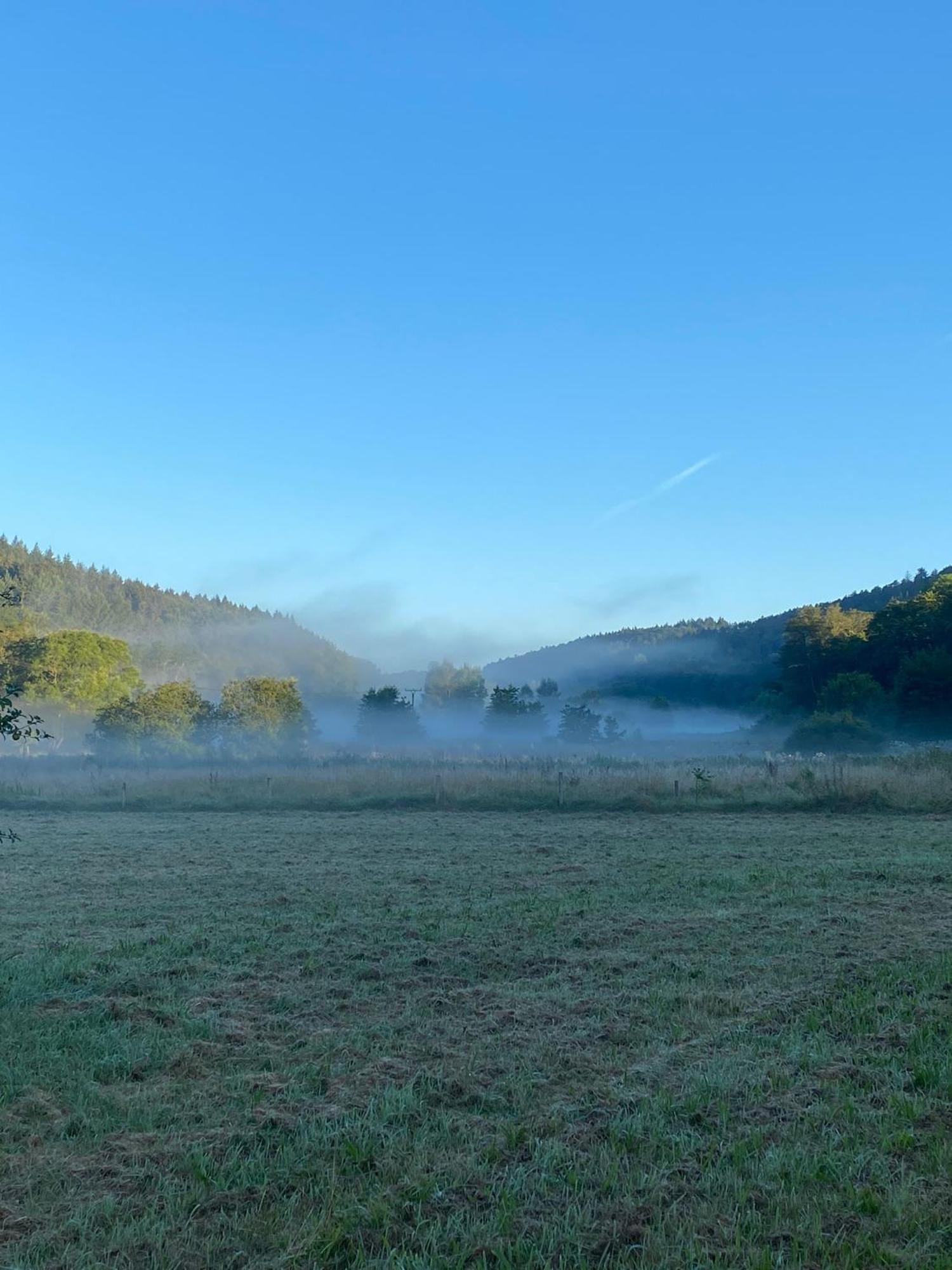 Ferienhaus Vulkaneifel Abtei Himmerod Grosslittgen Экстерьер фото