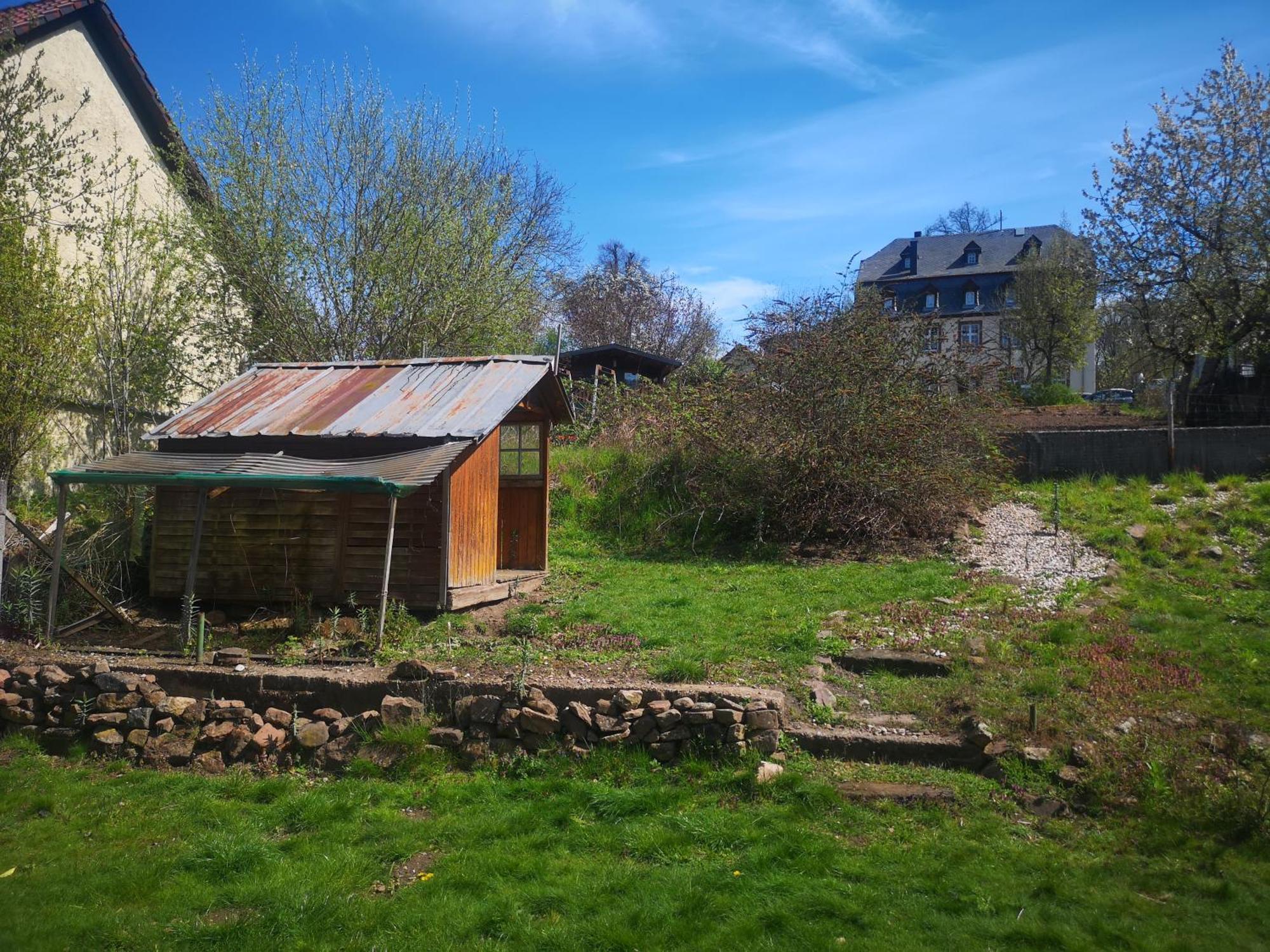 Ferienhaus Vulkaneifel Abtei Himmerod Grosslittgen Экстерьер фото