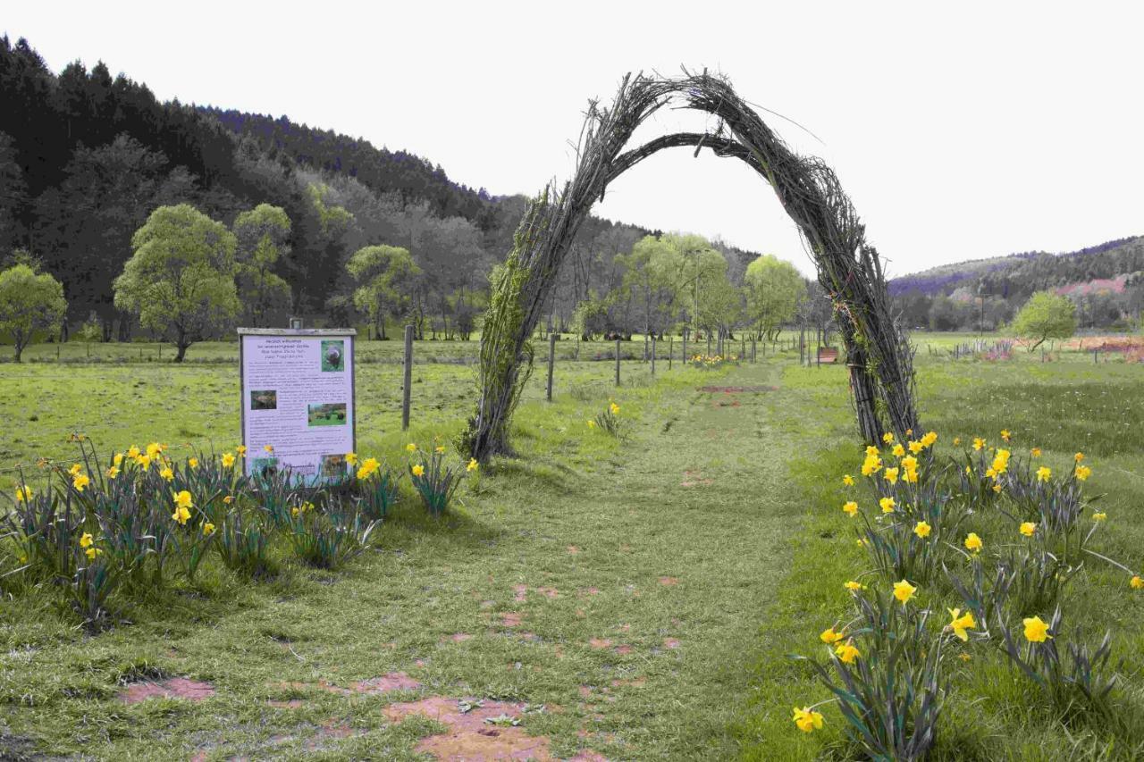 Ferienhaus Vulkaneifel Abtei Himmerod Grosslittgen Экстерьер фото