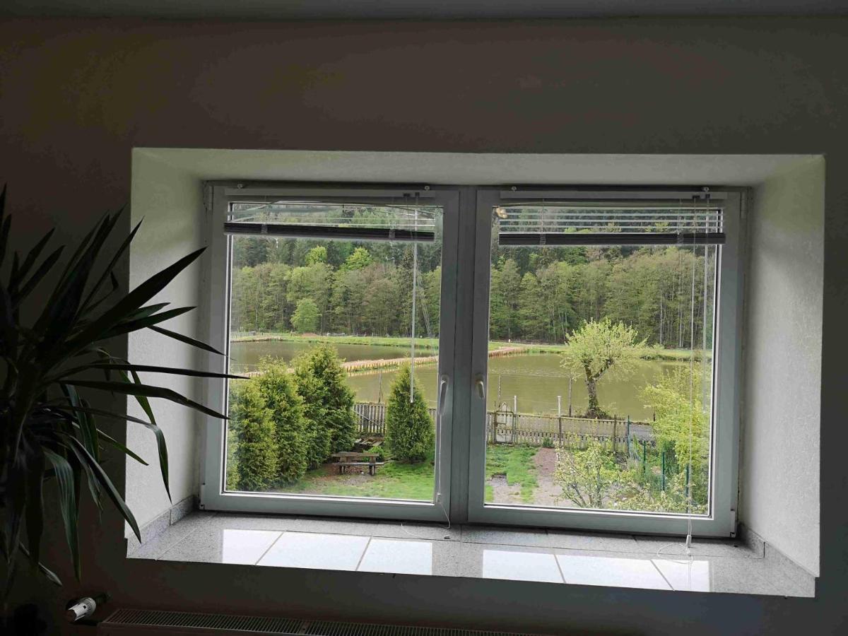 Ferienhaus Vulkaneifel Abtei Himmerod Grosslittgen Экстерьер фото